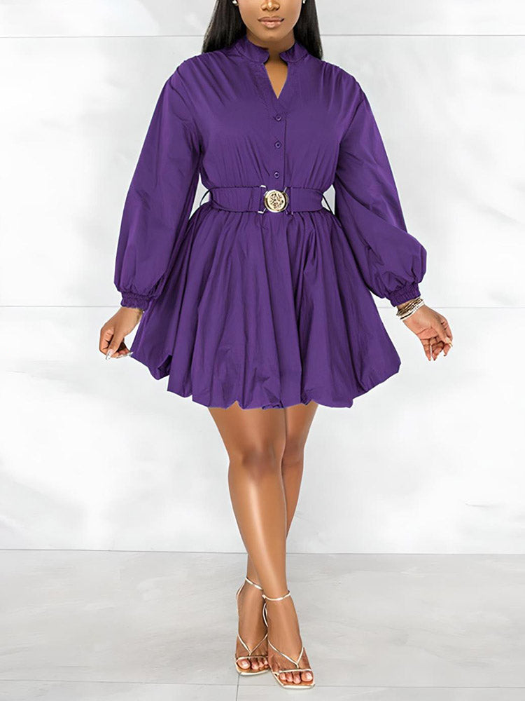 Belted Puffy Sleeve Dress