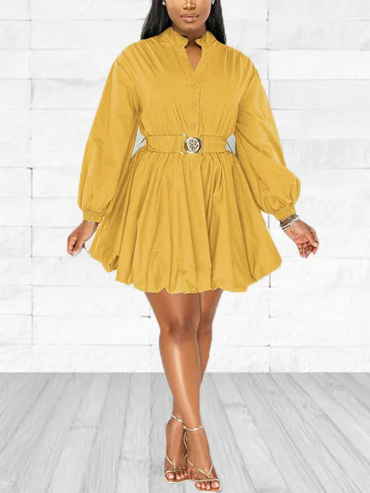 Stand Collar Long Sleeve A-line Mini Dress